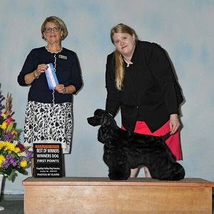 Meet your Posher, Shannon